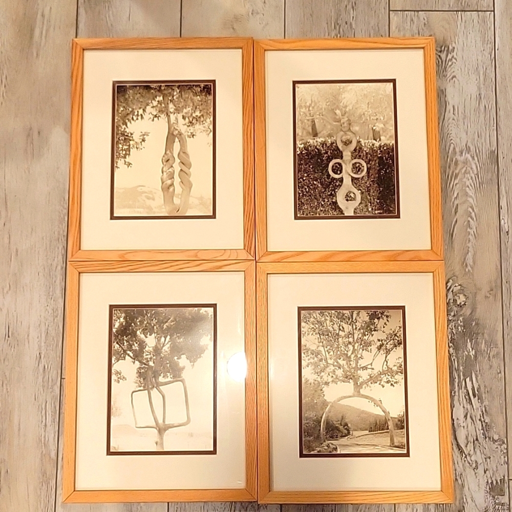 Set of 4 Framed Axel Erlandson Tree Photographs prints. Not originals.